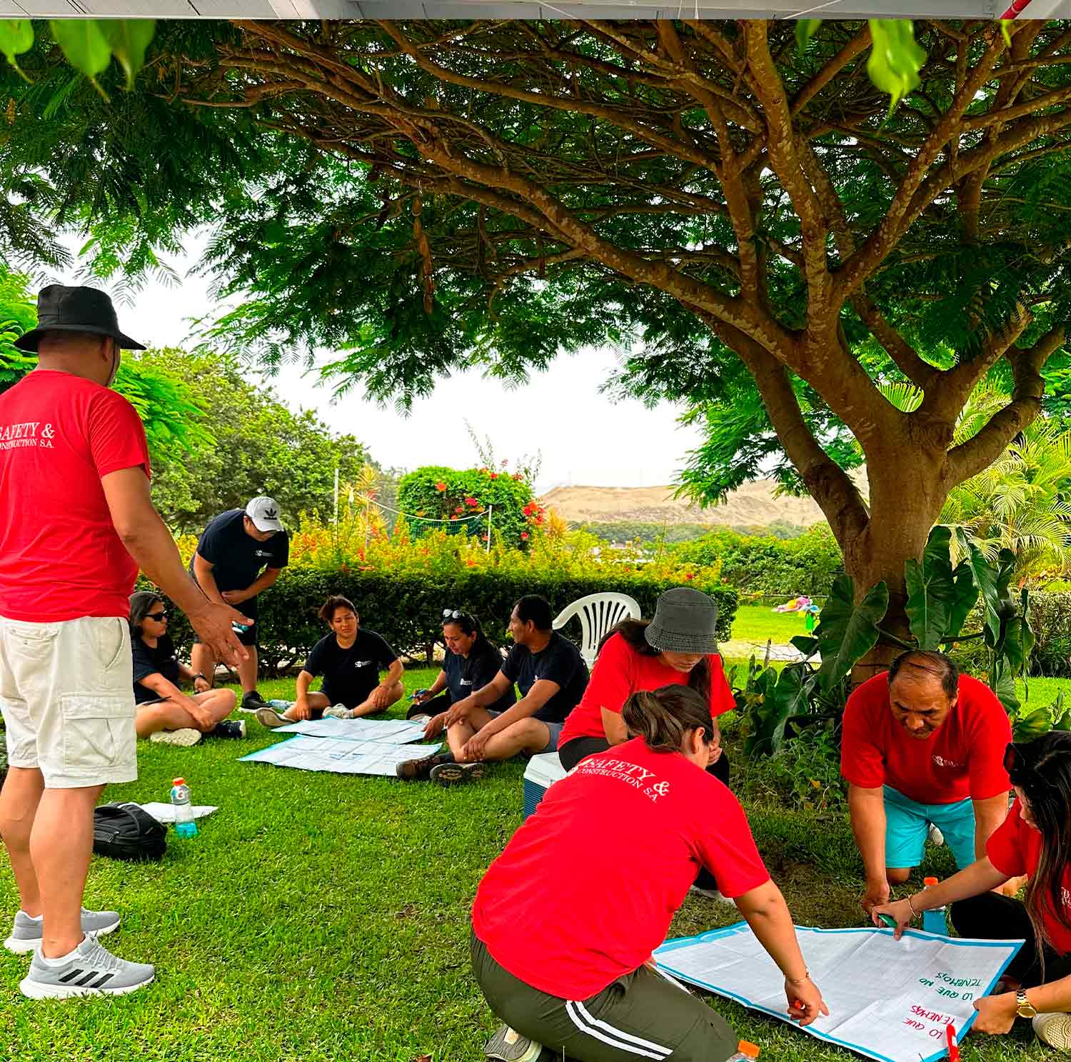 canal-de-consultas-2